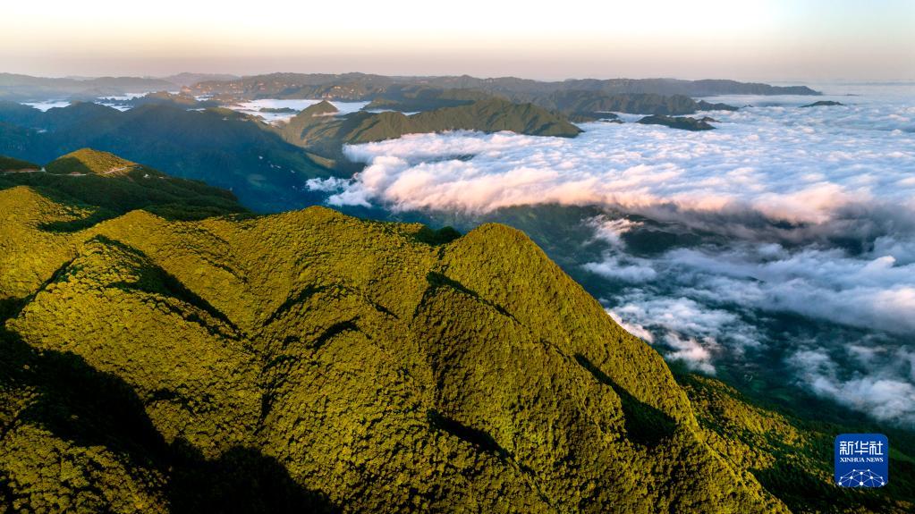 酉阳县龙头山图片