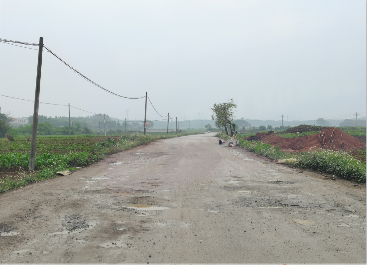 上林县白圩镇:人大代表为人民 助推修路暖民心-广西新闻网