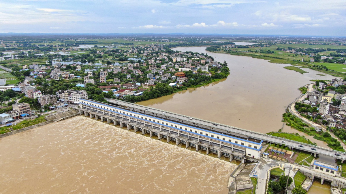 8月12日,在合浦县南流江,总江水闸开启20孔闸门泄洪,大量的水流正快速