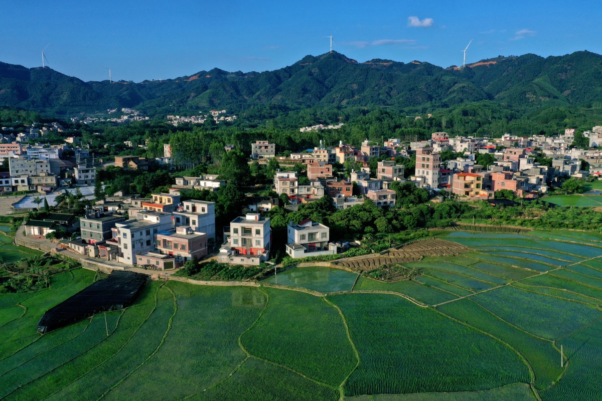 大美中国壮美广西0814丨深山梯田丰景美