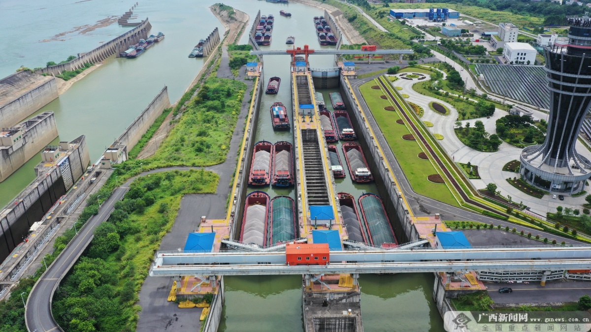 长洲船闸过货量破亿吨 西江黄金水道建设再提速|手机广西网