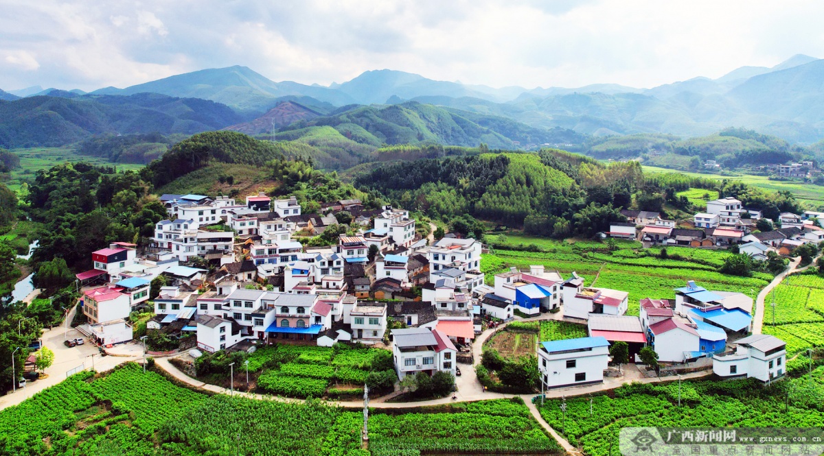 2022年8月21日焦点图|手机广西网