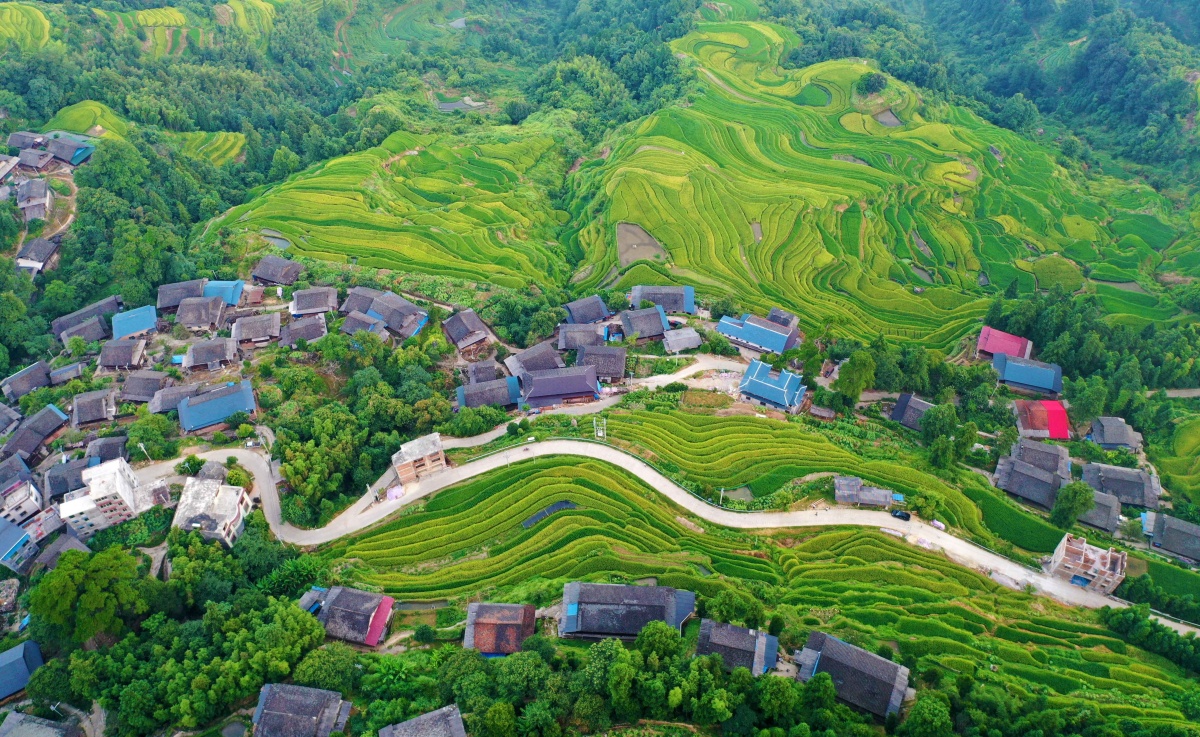 大美中国·壮美广西0821丨深山梯田丰收在望-广西新闻网