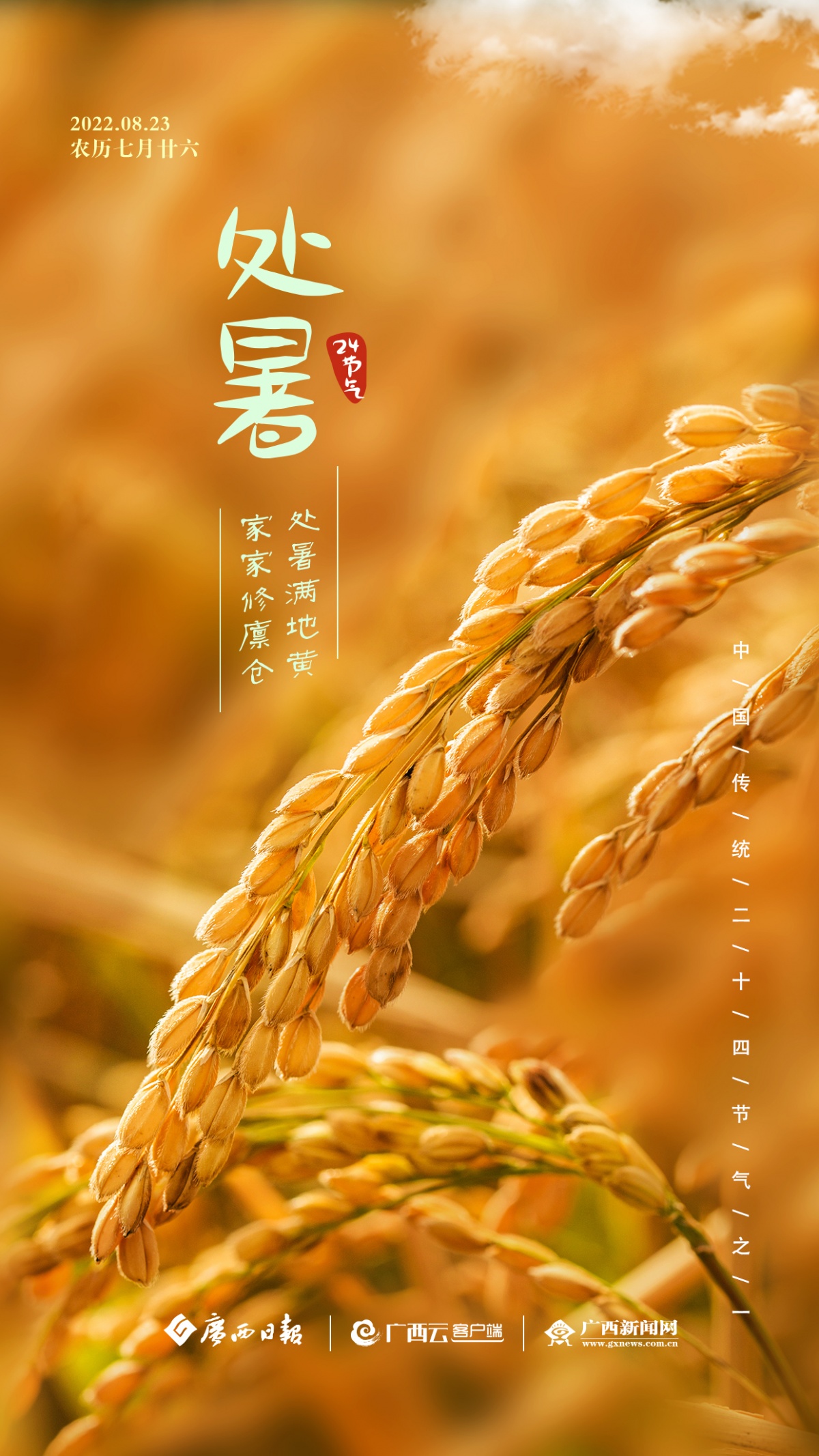 24节气海报|处暑|手机广西网