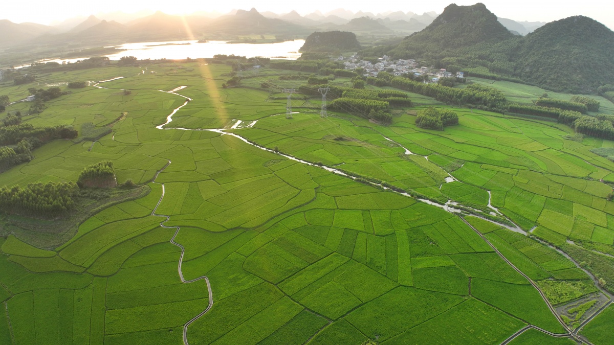 大美中国·壮美广西0824丨南流江两岸美景入画来|手机广西网