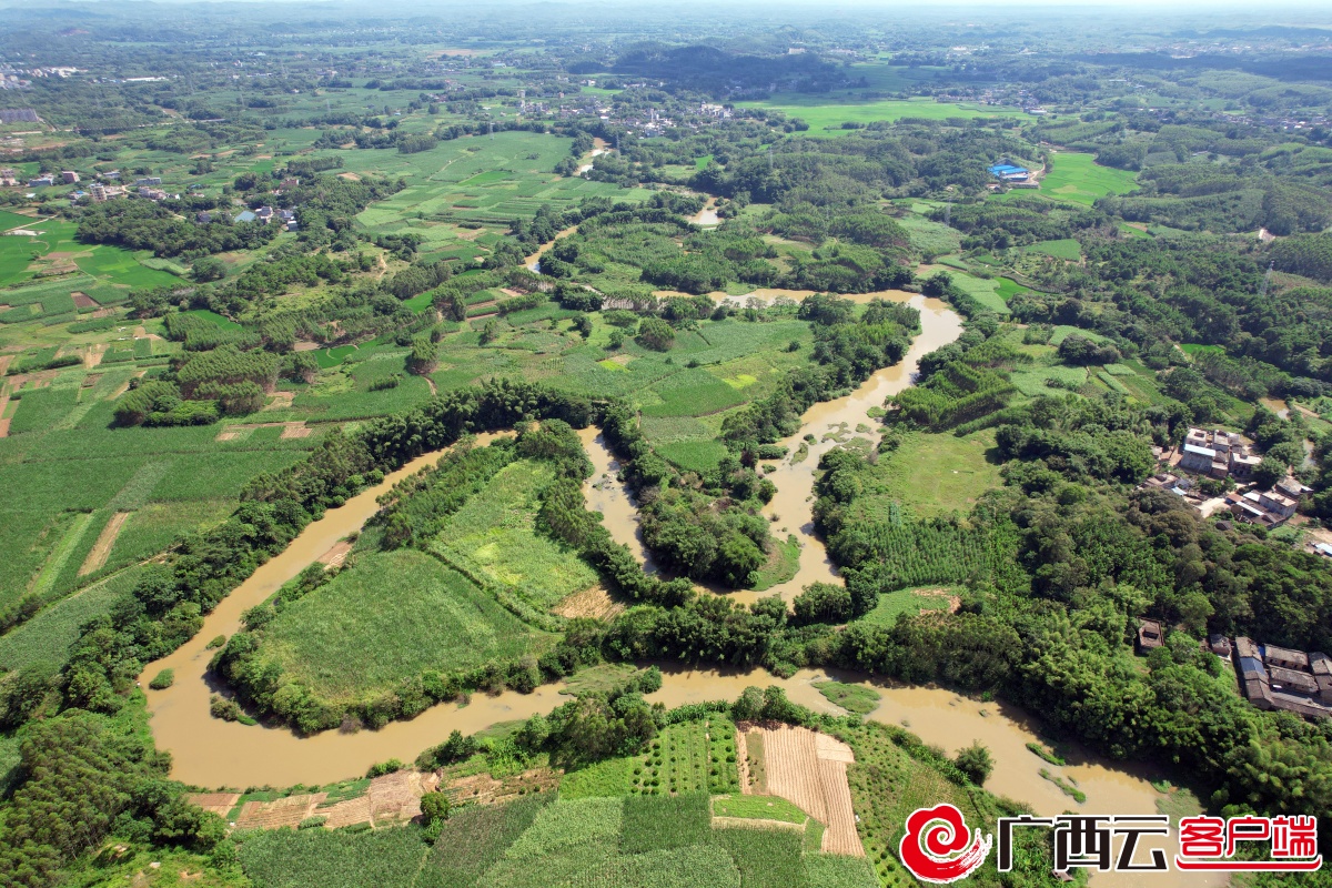 運河建設者說|平陸運河開工:又見茉莉花-廣西新聞網