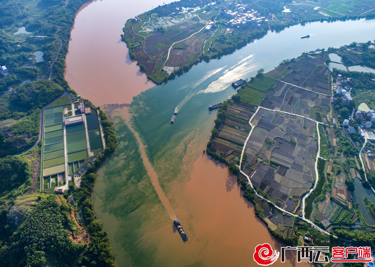 南宁三江口再现"泾渭分明"景观-广西新闻网