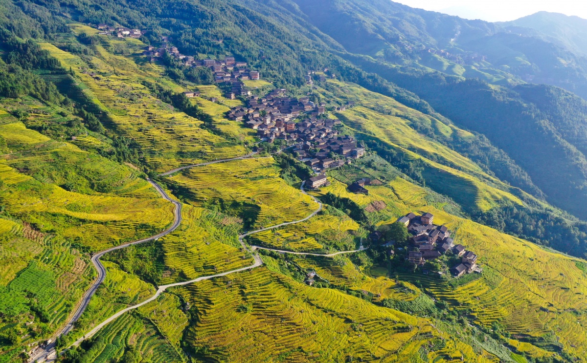 大美中国·壮美广西0904丨侗寨秋色美如画|手机广西网