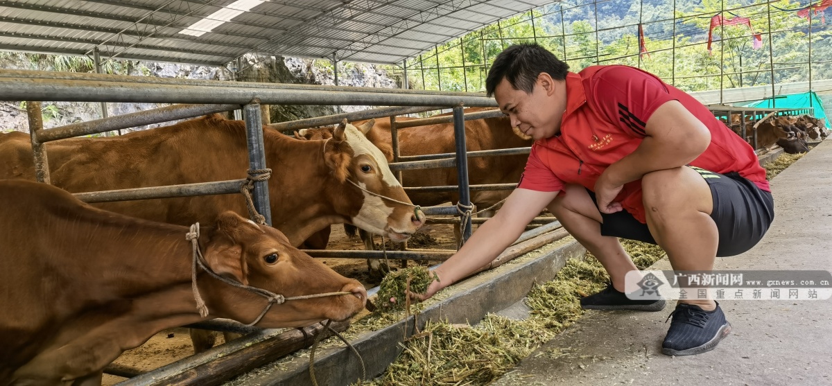 小记都安瑶族自治县高岭镇复兴村驻村第一书记梁安莹