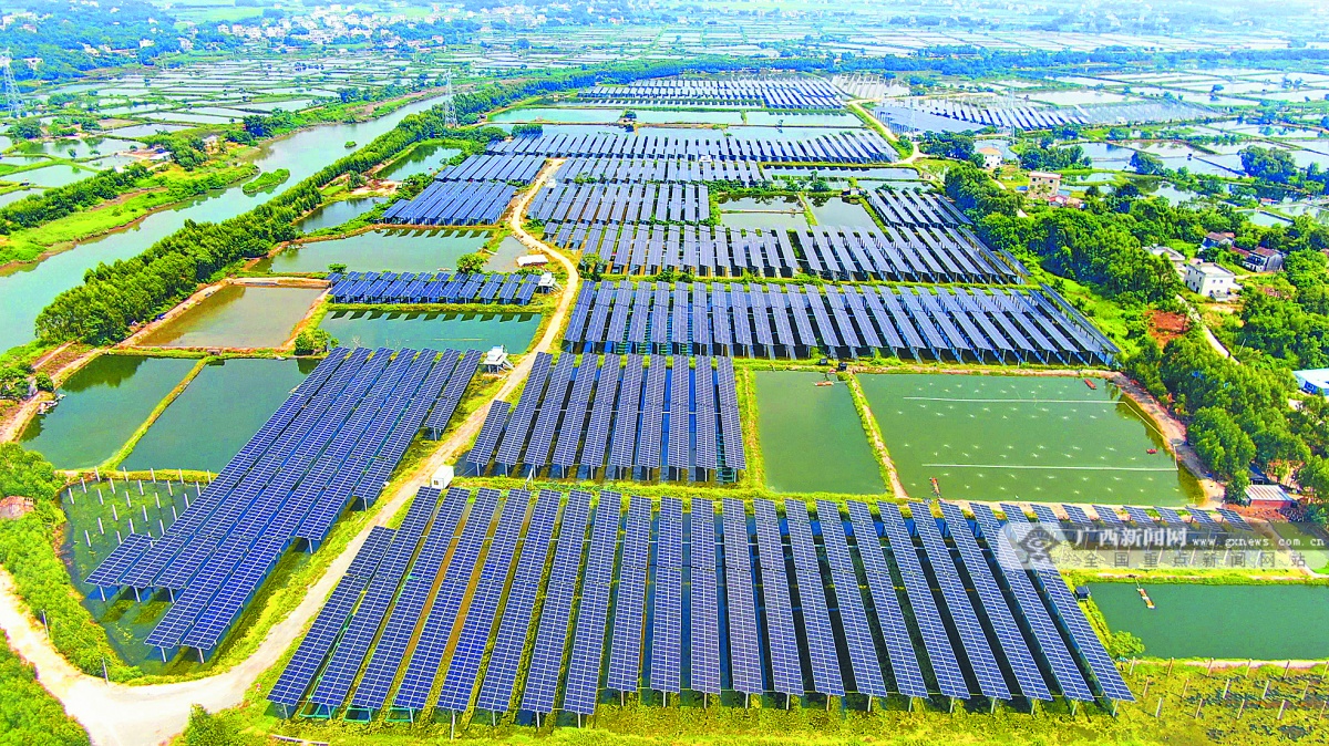 9月25日,在合浦县西场镇安乐村渔光互补光伏电站,清洁能源正源源不断