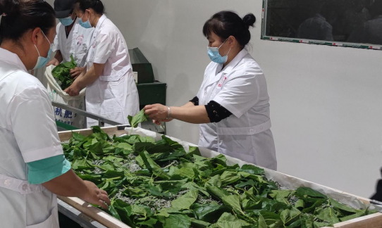 中国移动5G+数智化赋能蚕桑业“破茧成蝶”