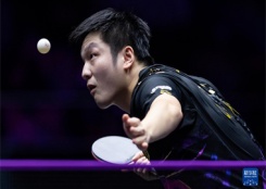 乒乓球——WTT澳门冠军赛:樊振东首轮晋级
