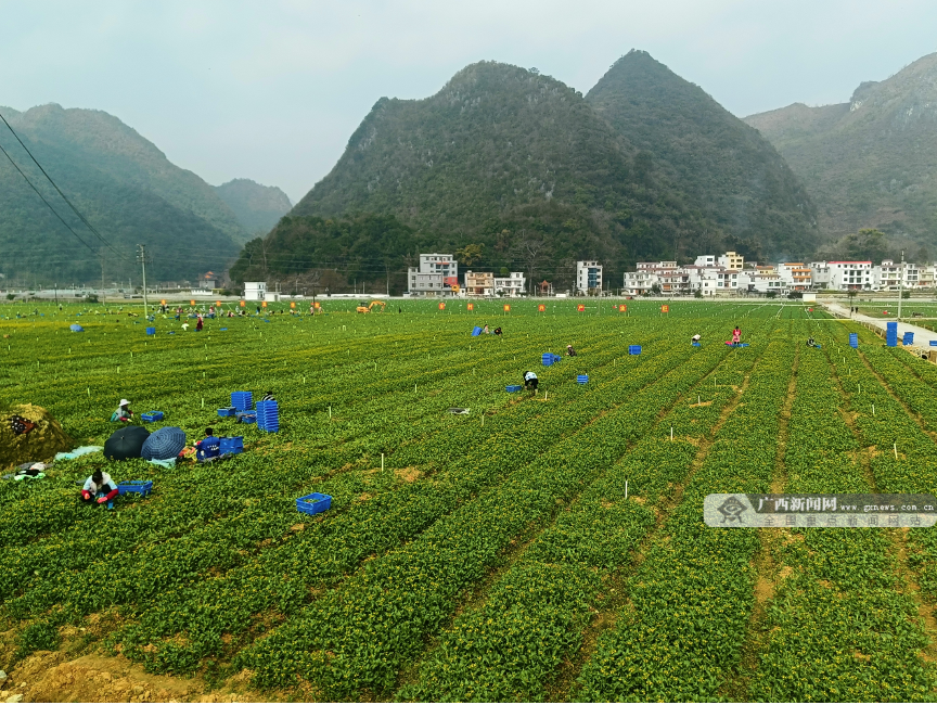 ��ҵ������������ʯ �����������