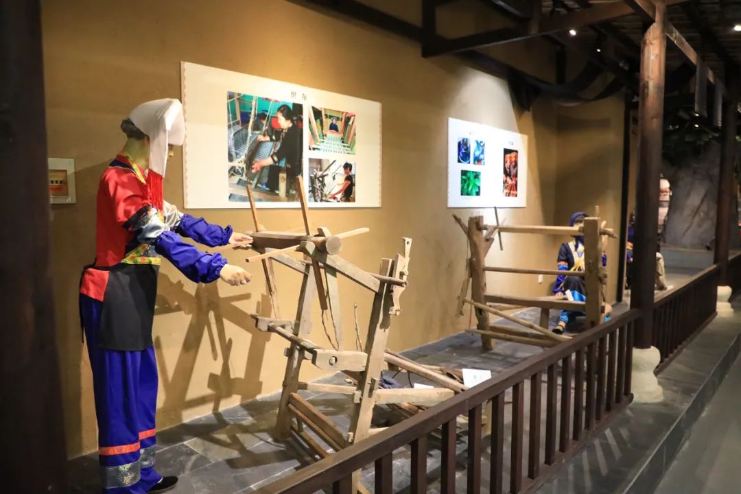 168件/套"宝贝"落户贵港市博物馆!将陆续展出-广西新闻网