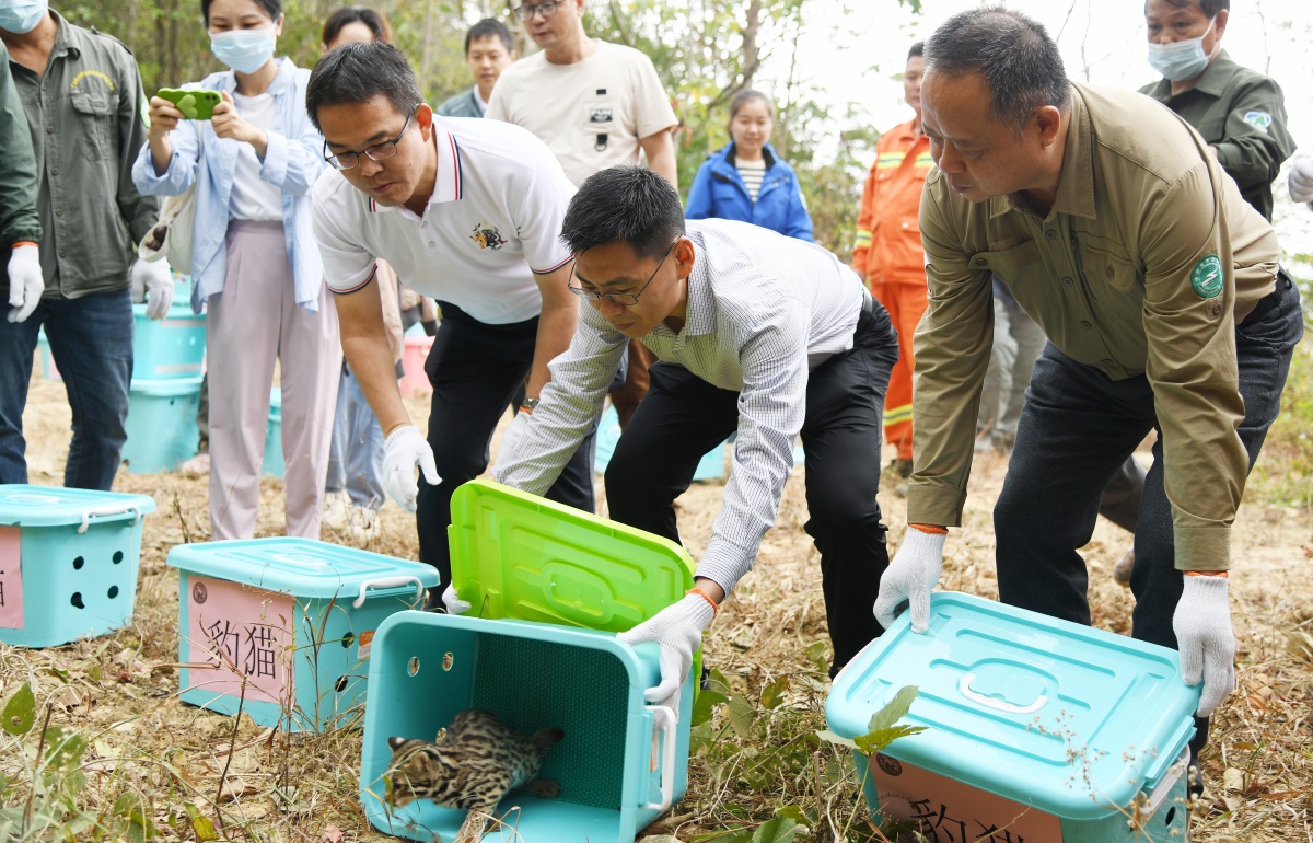 重返自然！7只获救珍稀野生动物“回家”啦(图1)