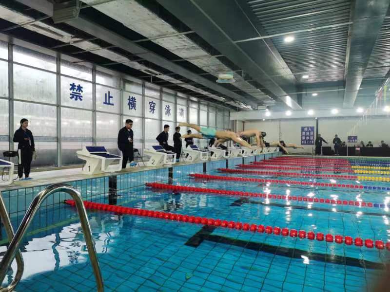 廣西游泳超級聯賽總決賽收官 449名運動員泳池爭先