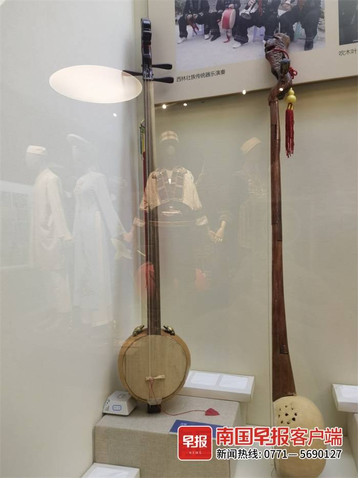 ▲在广西民族博物馆展出的天琴乐器（左图）。南国早报客户端记者 郭燕群 摄