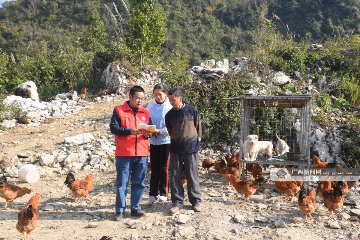 水产畜牧局科技特派员陆斌:做带动农民增收致富的"领头雁"|手机广西网