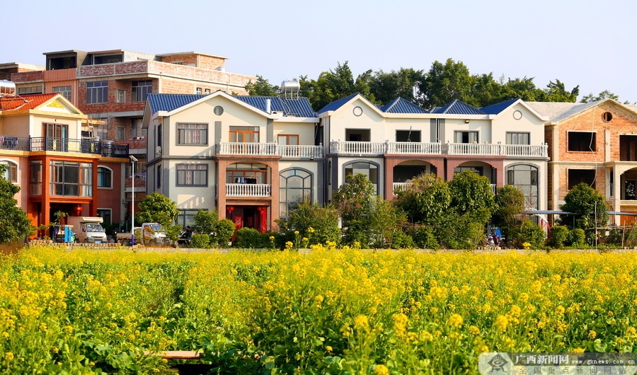 港南区:夯实脱贫成效 助推乡村振兴|手机广西网