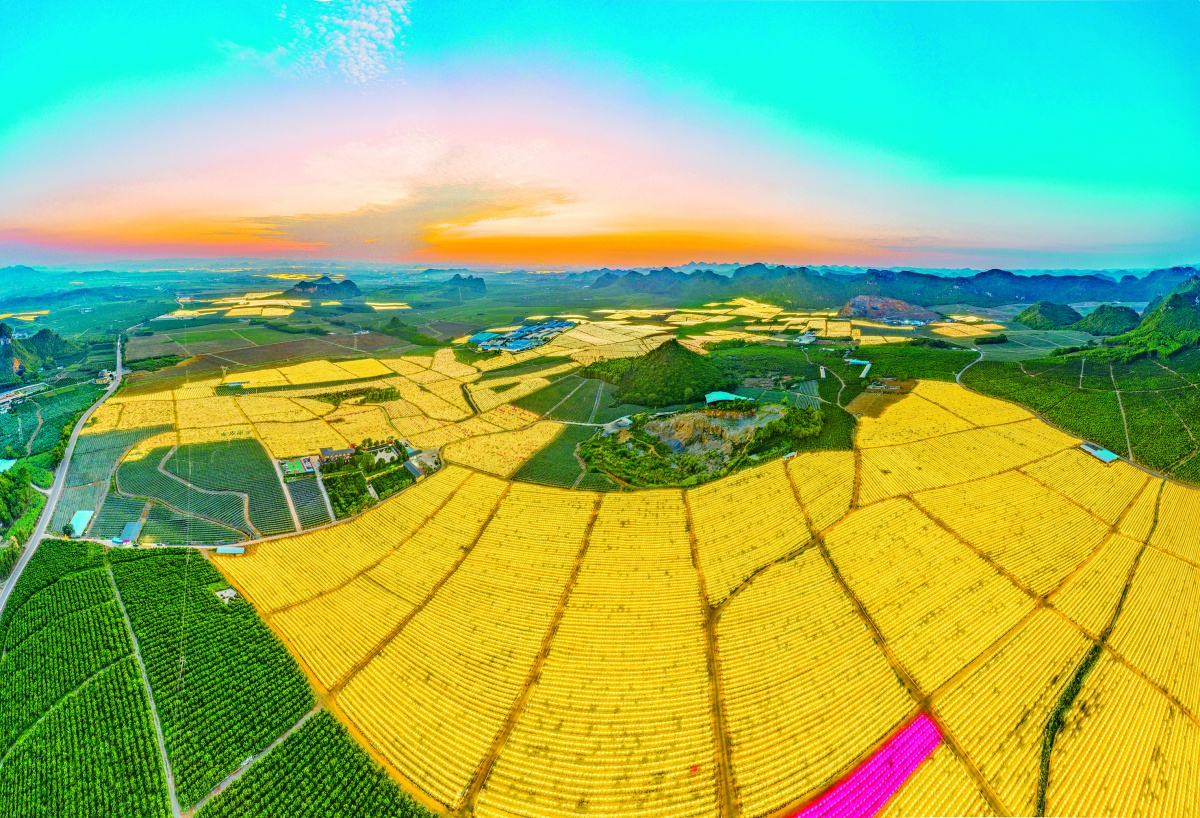 ����Э���������¡�����ȫ�����ˡ����㻭����