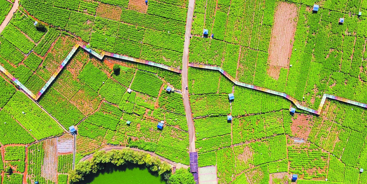 快来广西玩！10条“周末游八桂”精品线路别错过(图1)