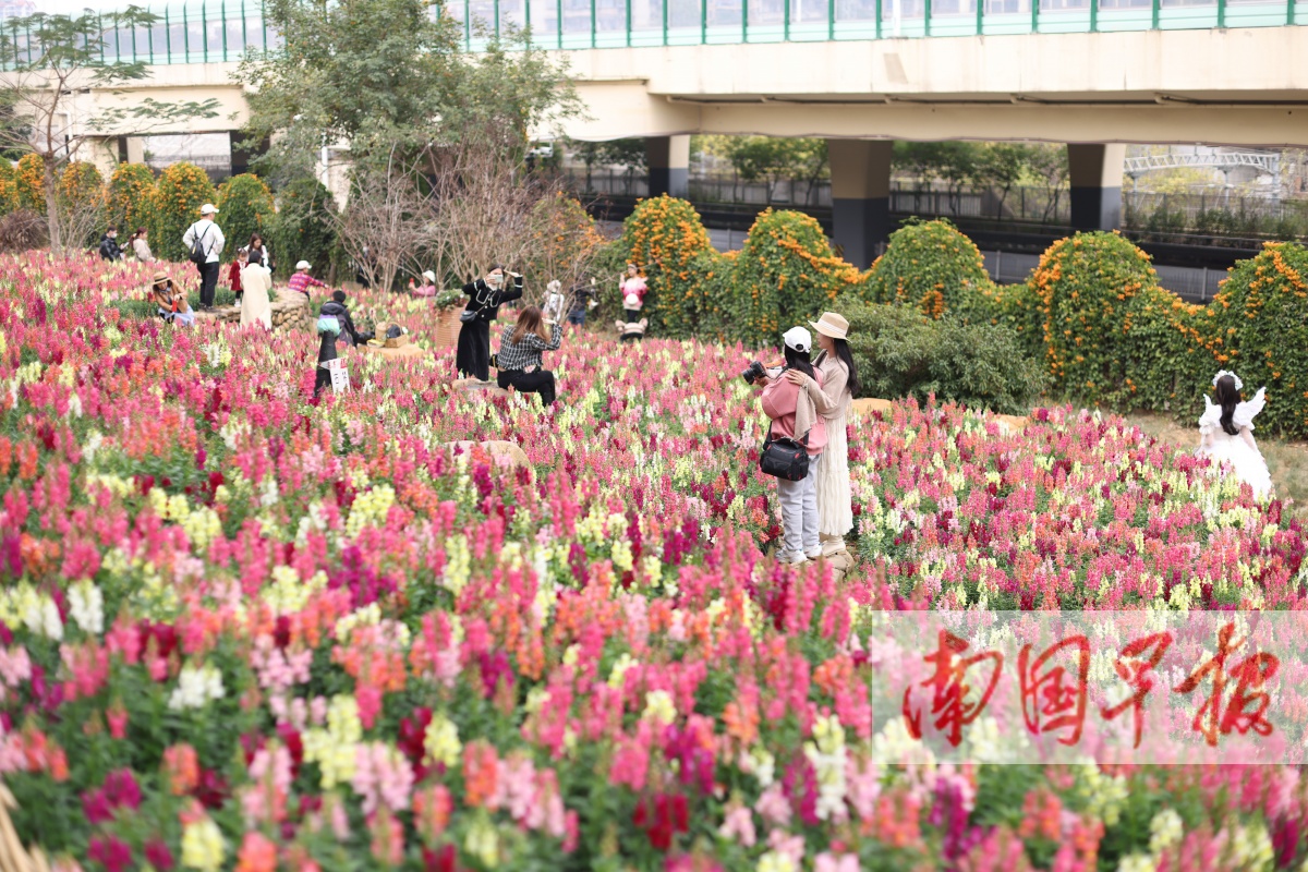 2023年2月2日焦点图