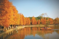 ������Щ��·����԰��Ҫ��ˢ����ֵ���ˣ�