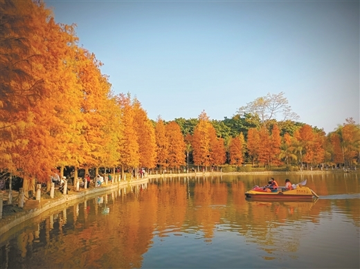 南寧這些道路、公園,要“刷新顏值”了!