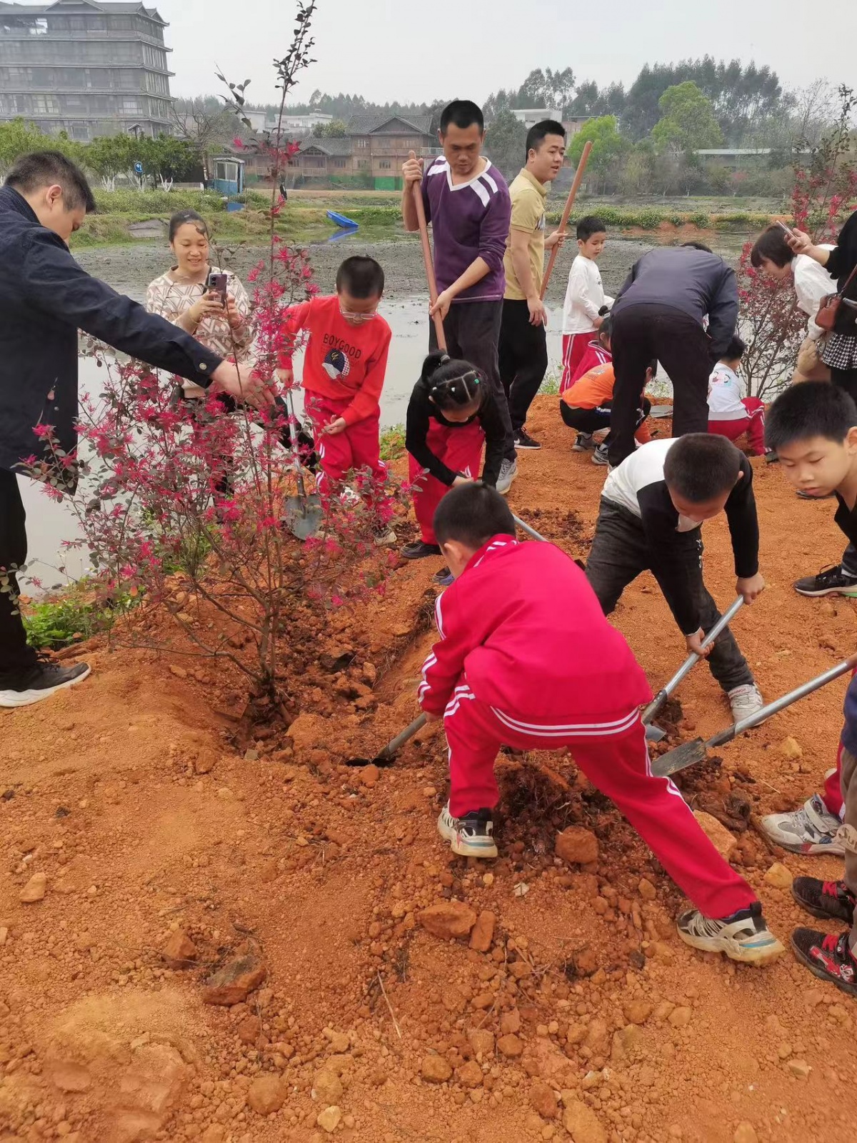 宾阳县芦圩中学图片