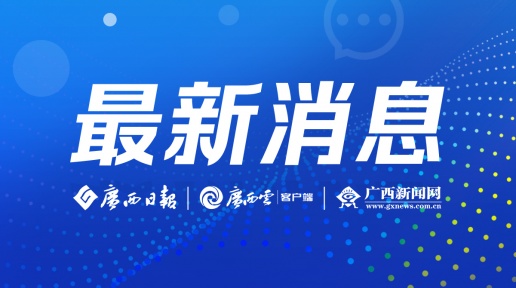 河池：凝聚监督合力严防统计造假歪风