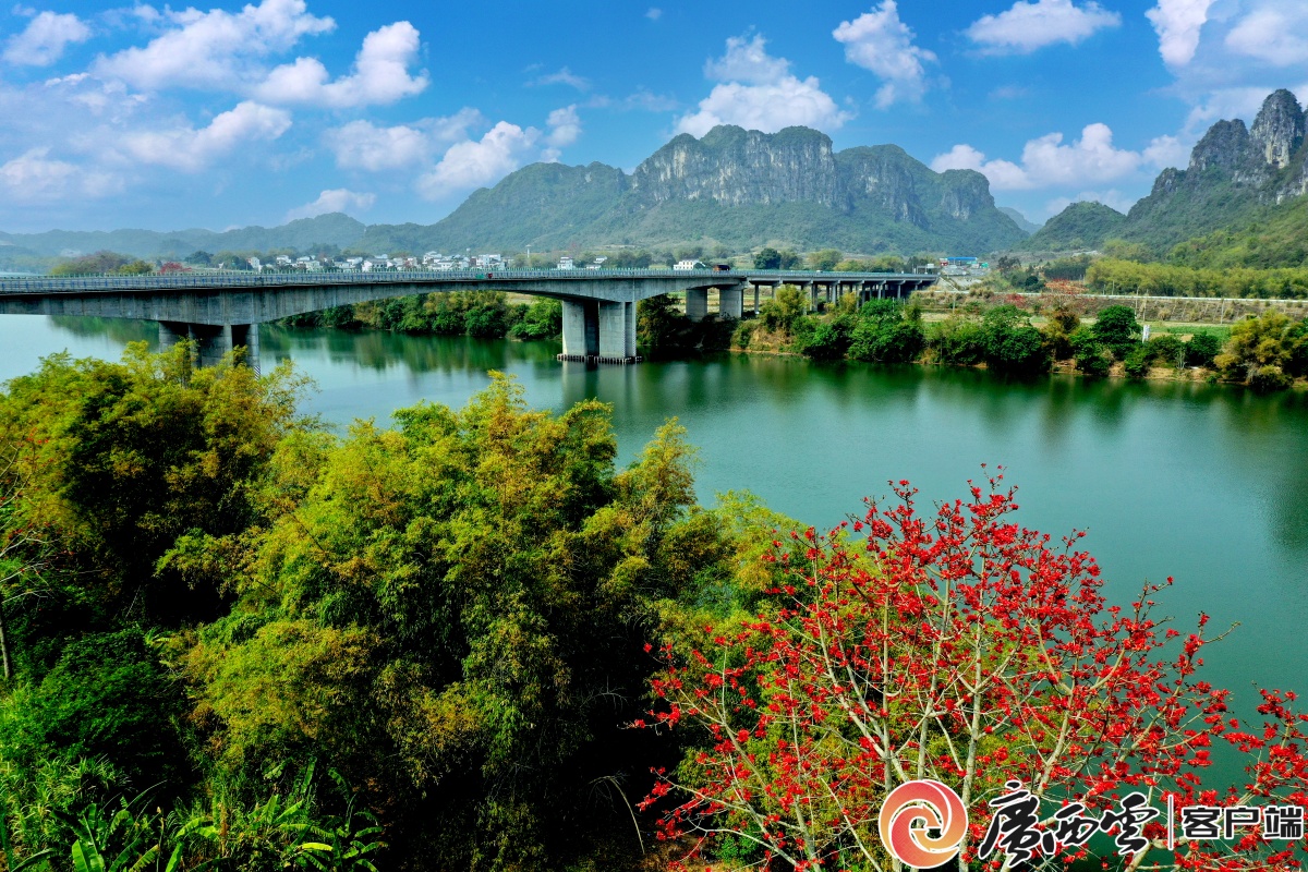 花山服务区地处群山环抱,风景秀丽的左江岸边,在两岸的木棉花,桃花