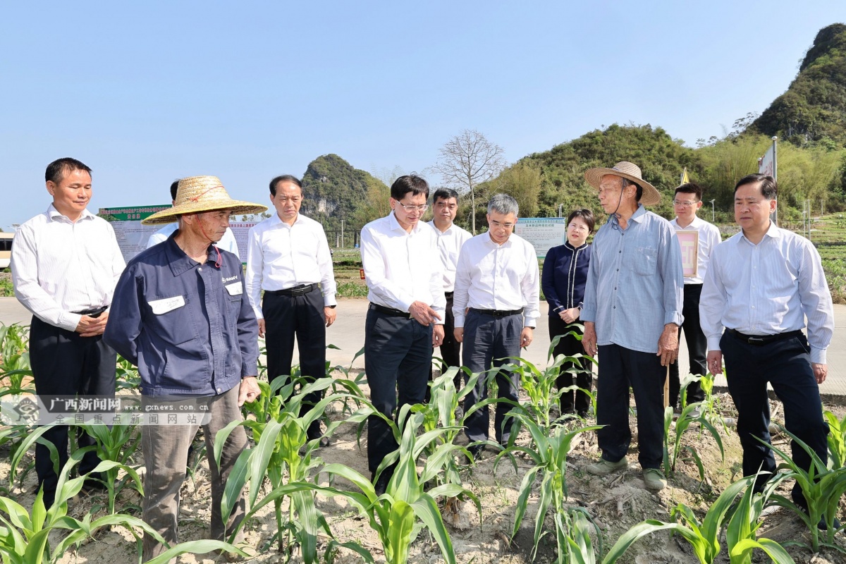 蓝天立到大化开云 开云体育瑶族自治县调研乡村振兴工作