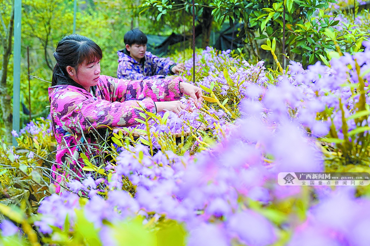 2023��4��7�ս���ͼ