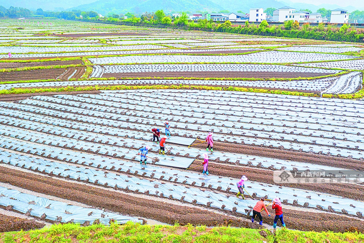 2023��4��7�ս���ͼ