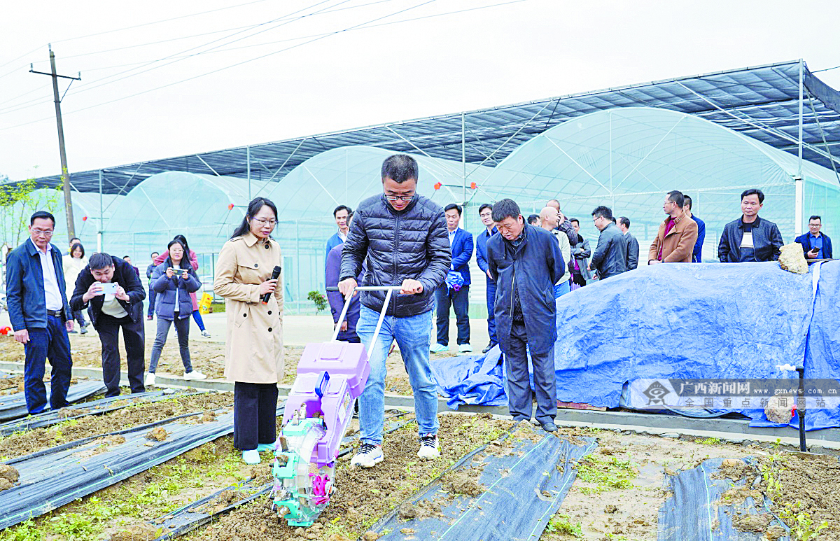 2023��4��7�ս���ͼ