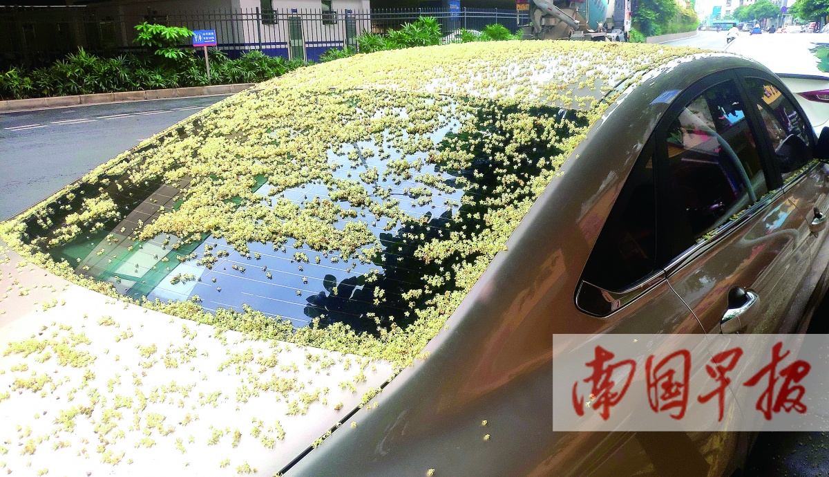 2023��4��7�ս���ͼ