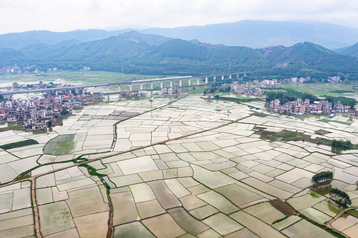 藤县藤州镇白沙村图片