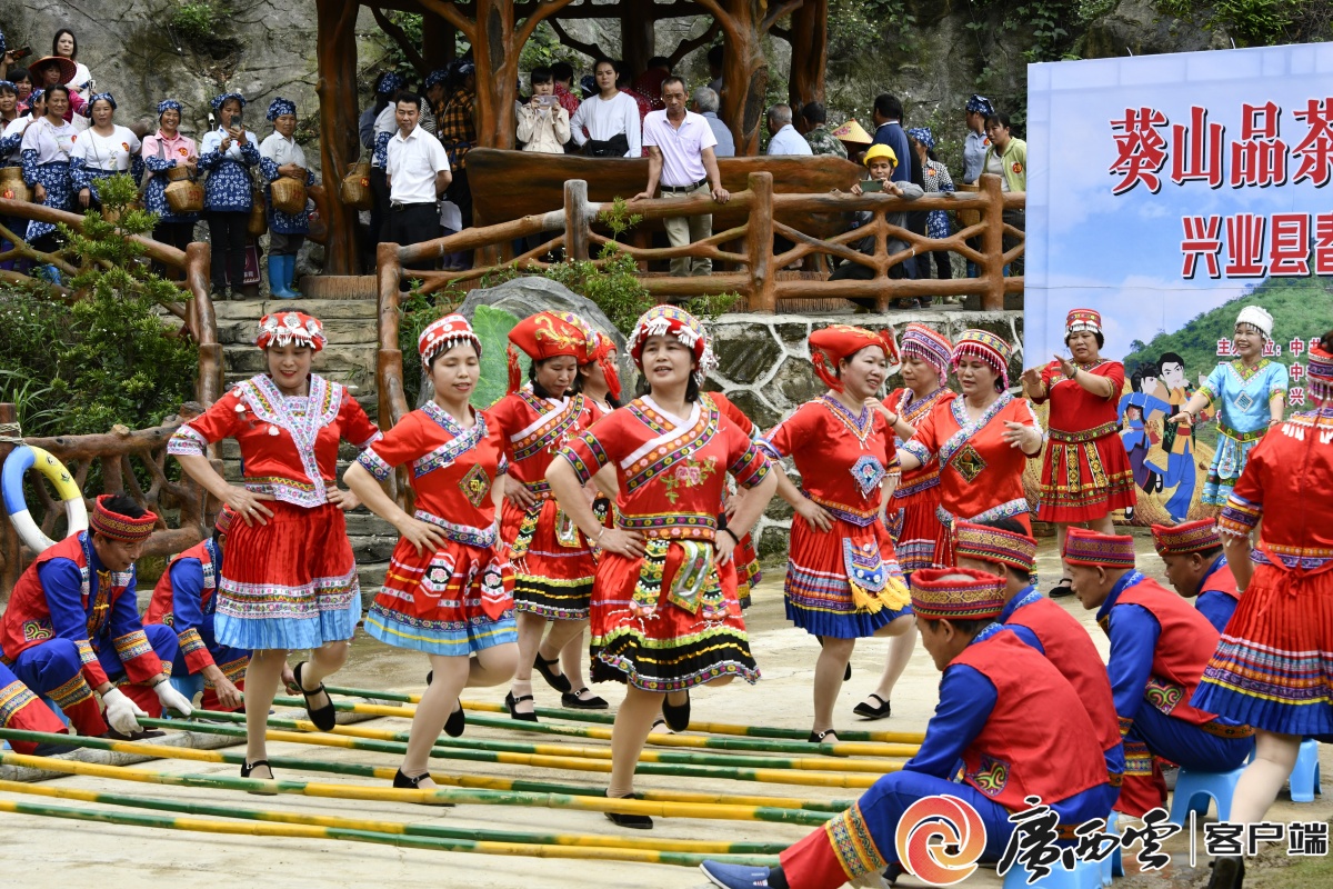 壮族三月三 ▏兴业举办茶文化节,打响"兴业茶"品牌-广西新闻网