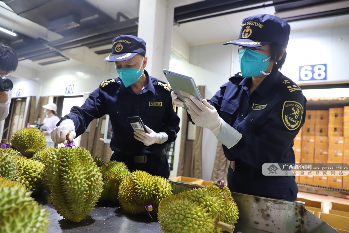 亚新体育壮美广西·高质量发展调研行 中国(广西)自由贸易试验区崇左片区打造东盟水果“抢鲜”入境快车道(图2)