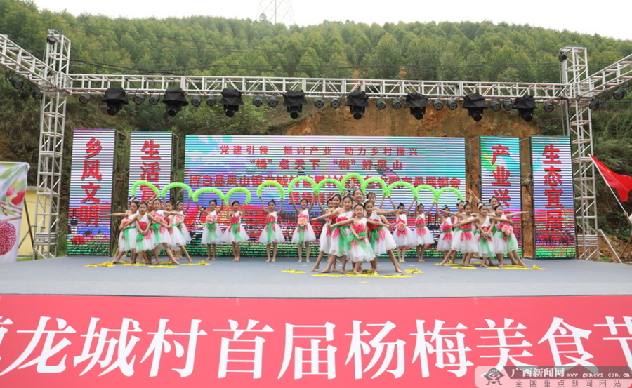 博白县龙城村：“杨梅美食节”开幕 “反邪教大餐”助阵