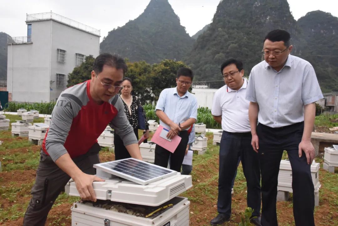 大新县县长图片