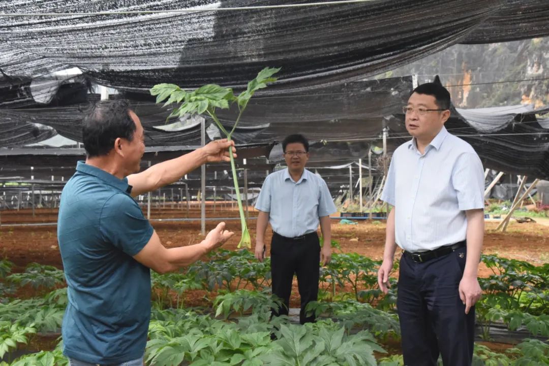 大新县县长图片