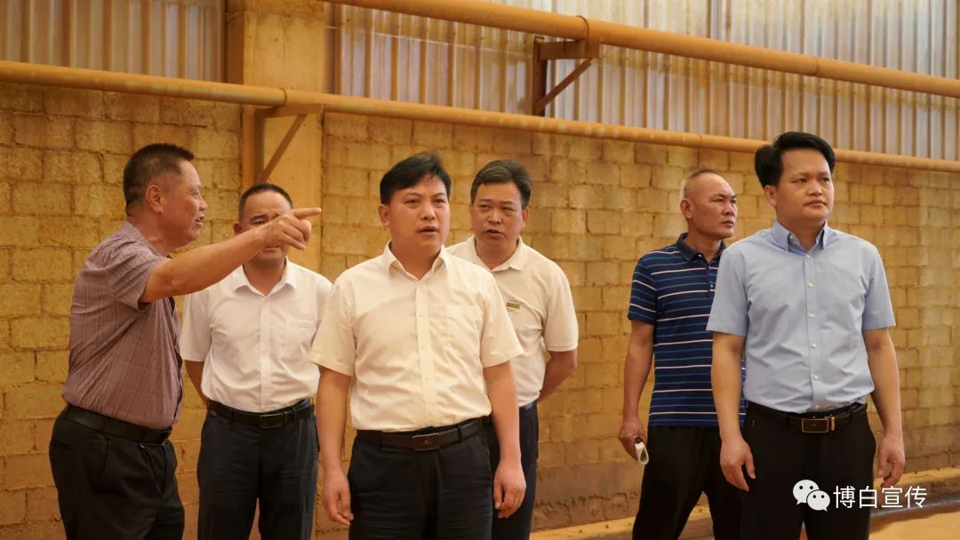 博白县开展环保工作专题调研