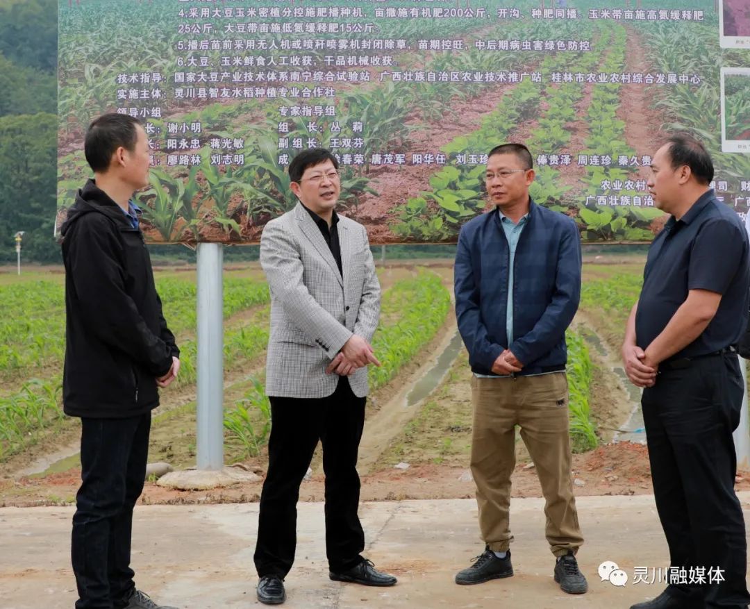 5月9日,灵川县委书记胡焕忠到三街镇调研农业生产工作,强调要高度重视