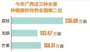 荔枝、龙眼近10种夏日生果已上市！广西人