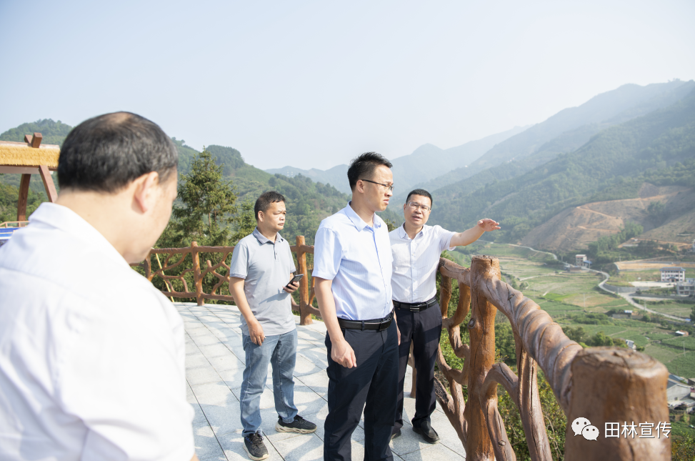 田林县县长韦建明简历图片