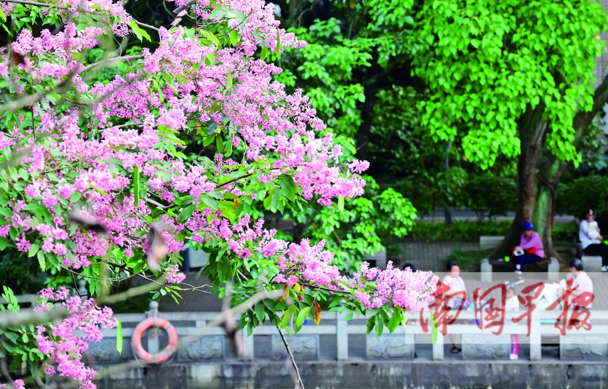 5月24日焦点图