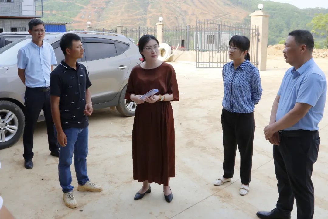 邓洁丽先后前往钦州九联食品有限公司,大垌镇平山村委那光村九牛岭,那