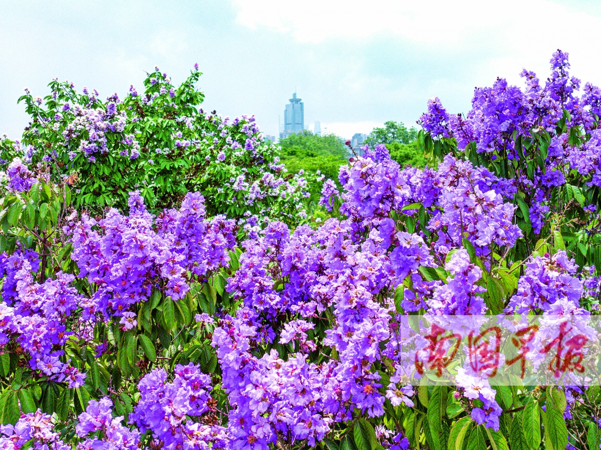 5月28日焦点图