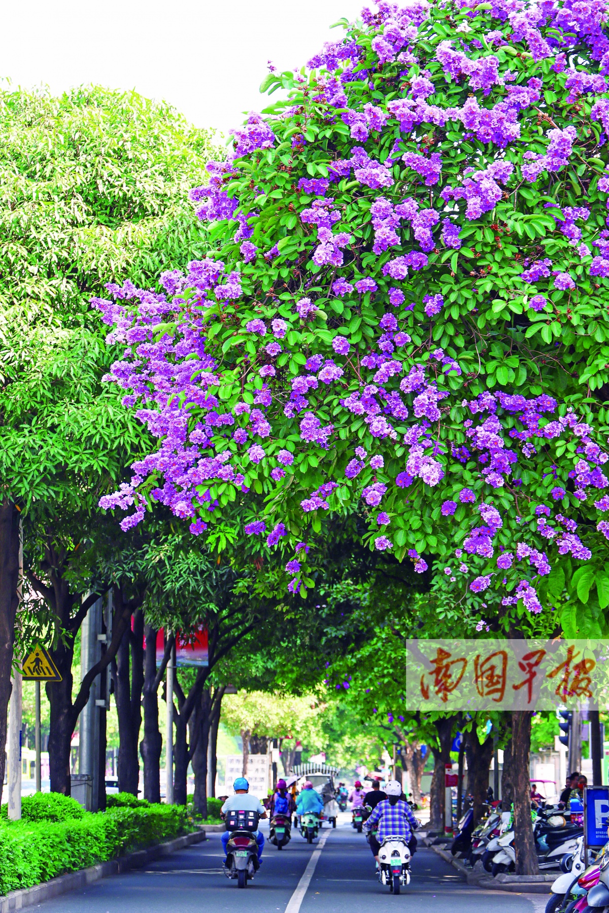 5月28日焦点图